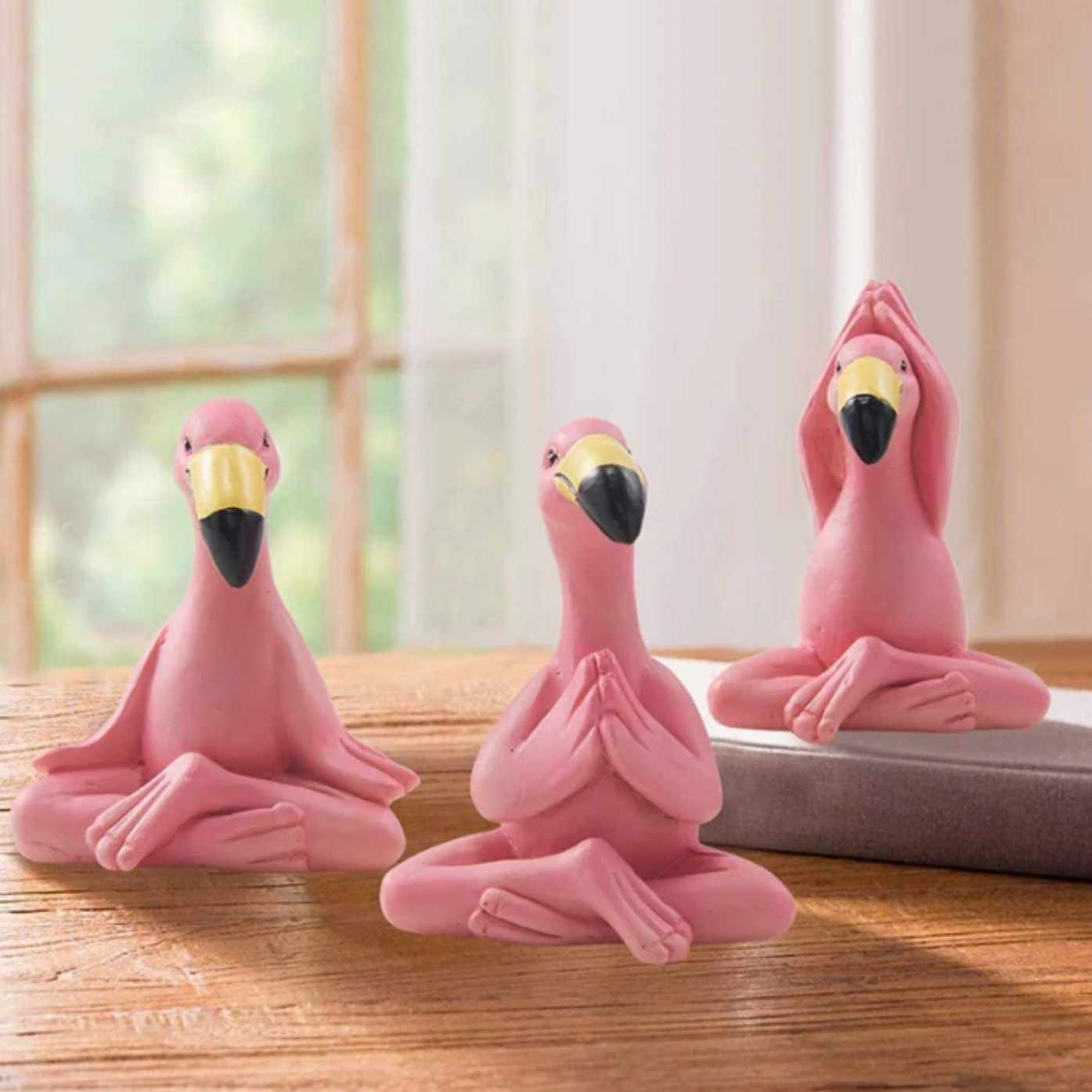 Yoga Flamingos/Coming Product