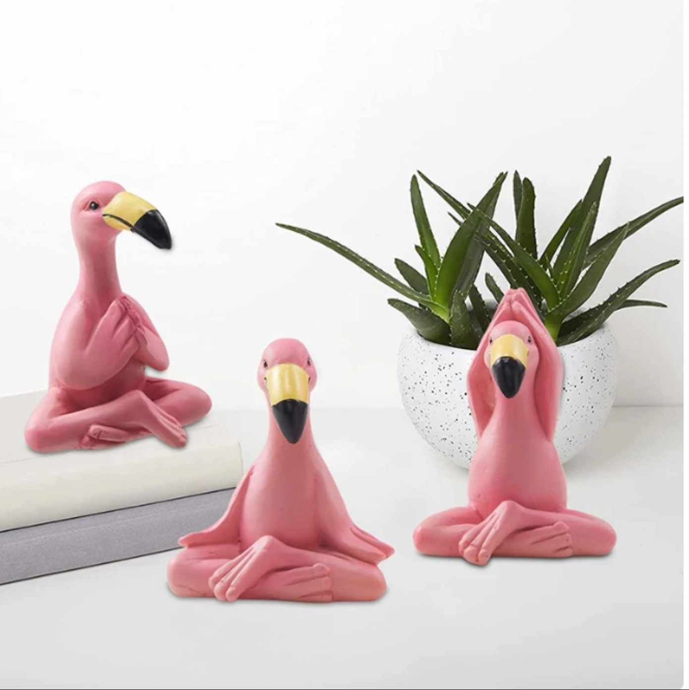 Yoga Flamingos/Coming Product