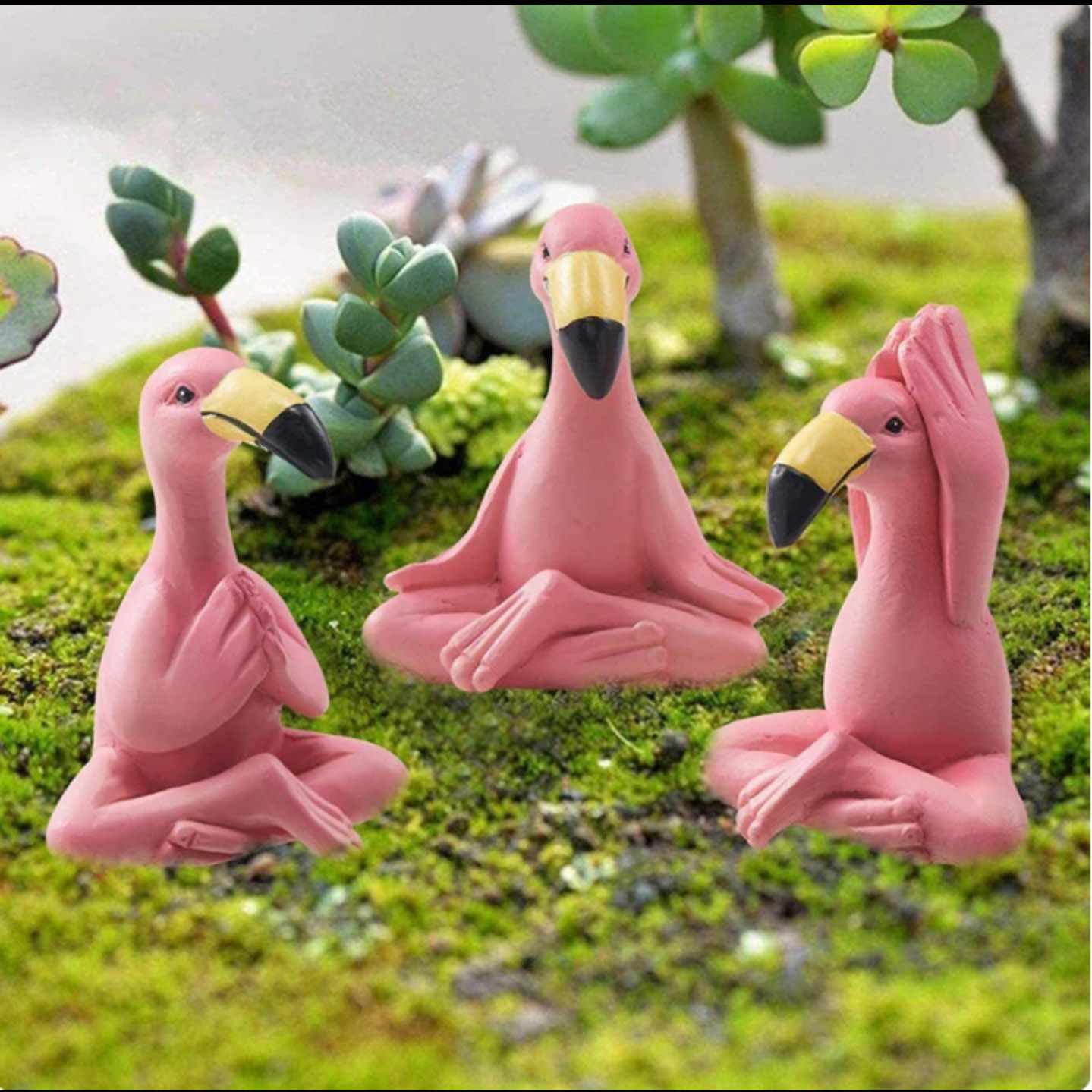 Yoga Flamingos/Coming Product